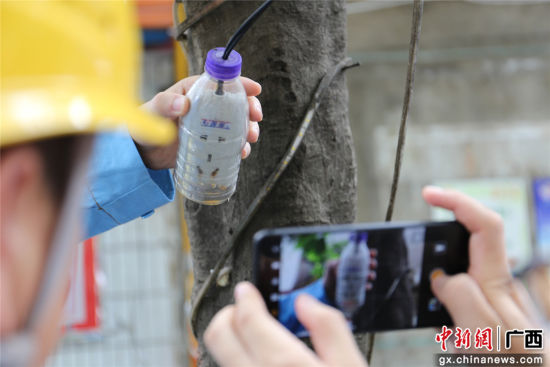 住戶為防止雨天插座漏電而套上的塑料瓶中積水明顯，存在漏電隱患。謝耘 攝